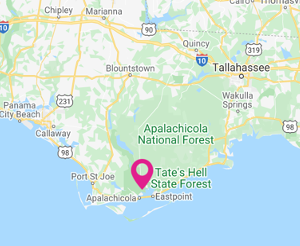 Apalachicola National Forest Map