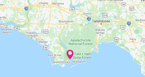 Apalachicola National Forest Map