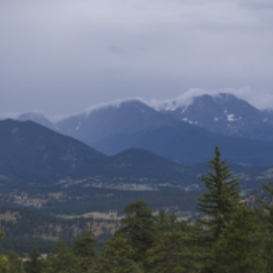 View of the Rocky Mountains with trees in the foreground