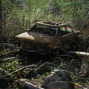 Burnt car in the woods