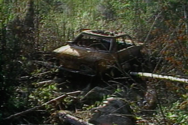 Burnt car in the woods