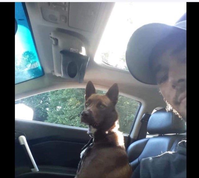 Chad in the car with his dog in the front seat