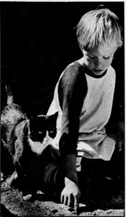Travis Bradbury and his stray cat