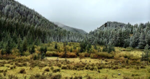 Helena-Lewis and Clark National Forest Image