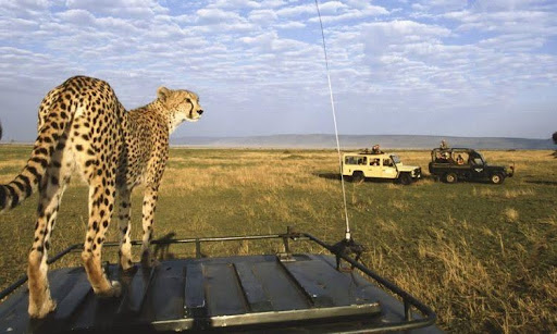 Masai Mara National Reserve