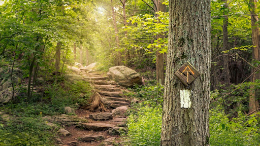 Appalachian Trail Image