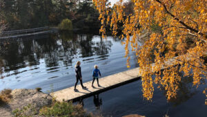 Baneheia Park Image