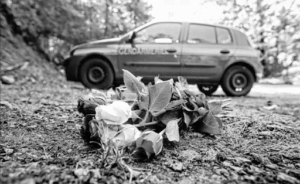 Flower at the crime scene