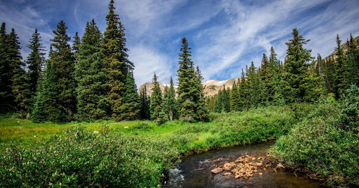 Arapaho and Roosevelt National Forests
