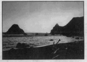 Final photo of Fish Head Beach taken on Jason’s disposable camera