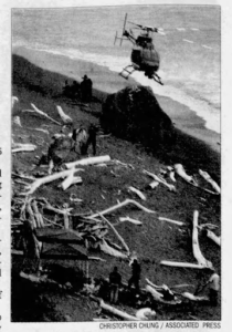 Fish Head Beach crime scene investigation