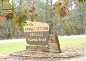 Bienville National Forest image