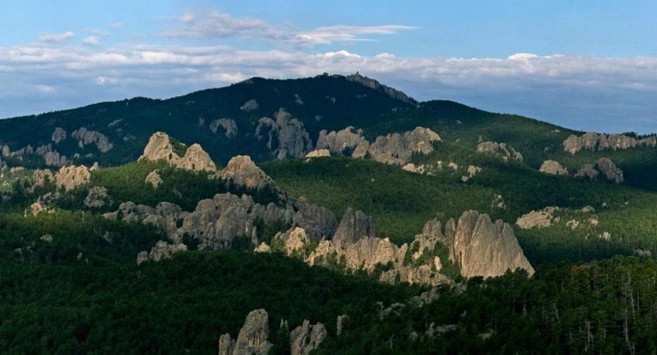 Black Hills National Forest Image