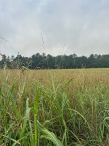 Chickamauga and Chattanooga National Military Park Image