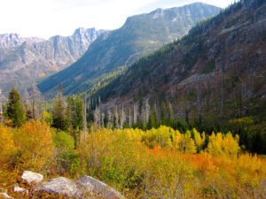Payette National Forest Image