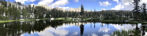 Sierra National Forest Image