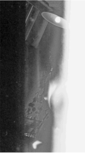 Overexposed Disposable Camera Photo