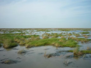 Jasper County, Idaho Image