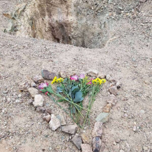 Memorial Garden for Erin Corwin in Joshua Tree National Park