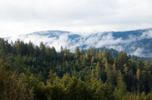 Shoshone County, Idaho Image