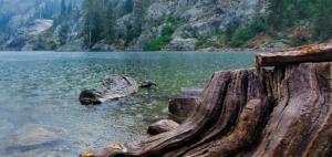 Applegate River / Klamath National Forest Image