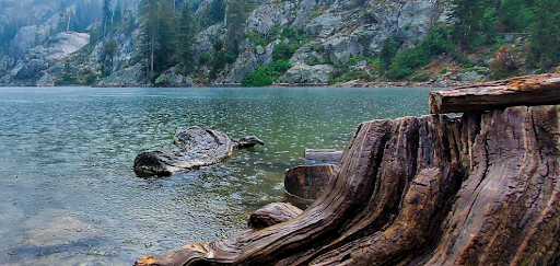 Applegate River / Klamath National Forest Image