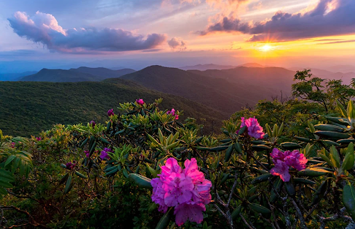 Blue Ridge Parkway Image