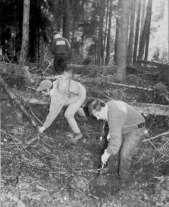 October 1998 search of Stanley Park for evidence related to the boys’ deaths