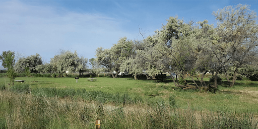 Martin Landing Campground Image