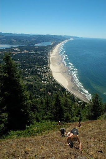 Oswald West State Park Image